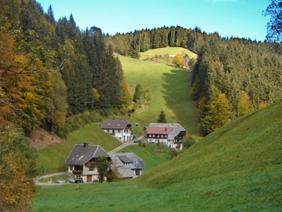 Im Hexenlochtal/Schwarzwald