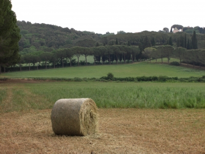 Toscana: Landschaft mit Strohballen