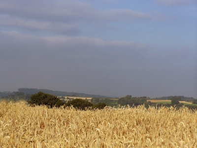 Landschaft am Fuße der Schwäbischen Alb 1