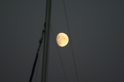 Moonlight & Sail 1