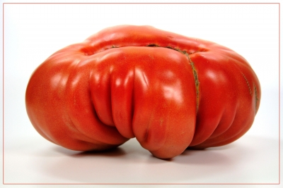 Tomaten 10