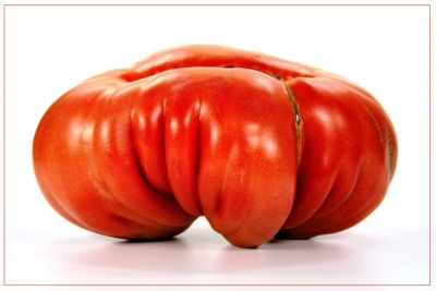 Tomaten 11