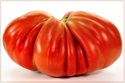 Tomaten 12