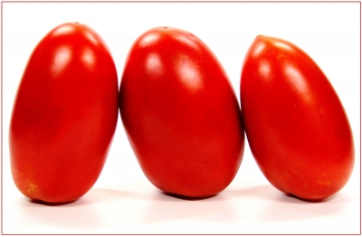 Tomaten 19