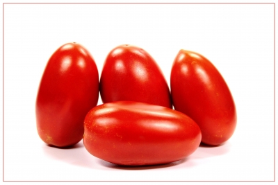 Tomaten 20