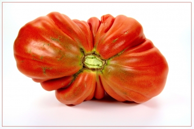 Tomaten 14