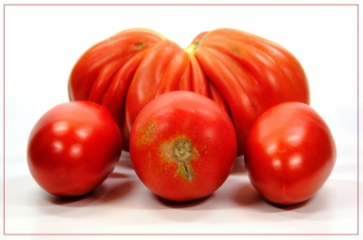 Tomaten 16
