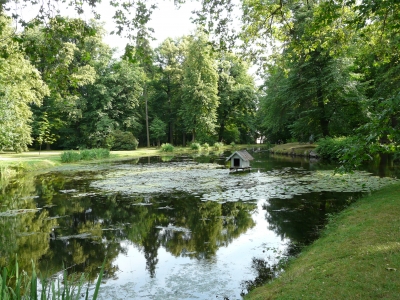 Ententeich im Schlosspark von Pillnitz