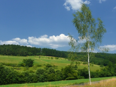 Sommerliche Landschaft