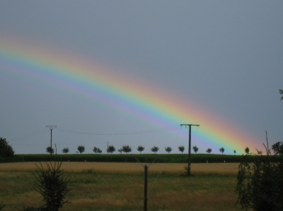 Regenbogen