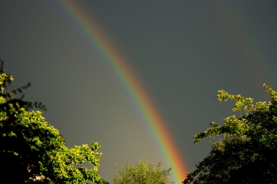 Regenbogen 5