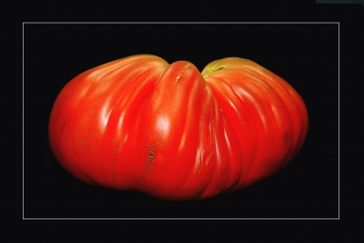 Tomaten 26