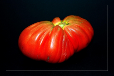 Tomaten 27