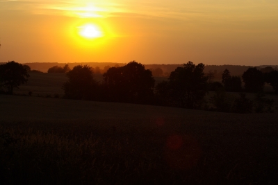 Im Reich der untergehenden Sonne