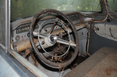 Autofriedhof 7