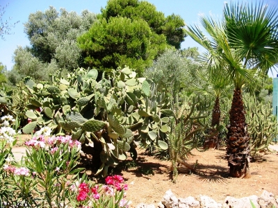 Naturgarten auf Mallorca Cala Bona