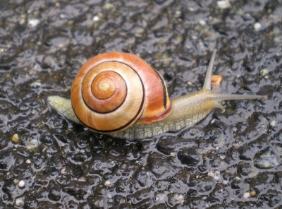 Keine Angst vor Aquaplaning