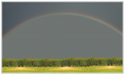 Regenbogen