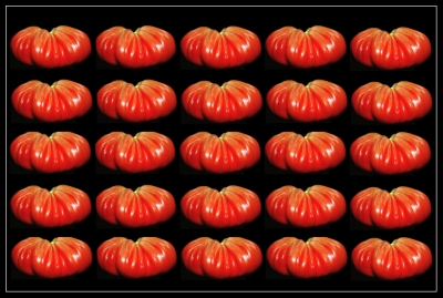 Tomatenzeit