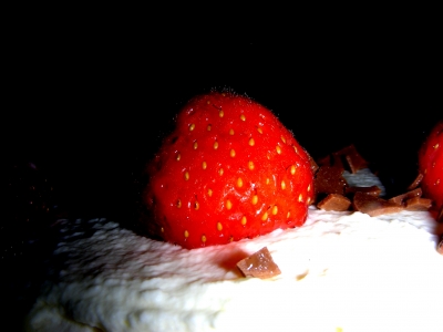 Porträt einer Erdbeere
