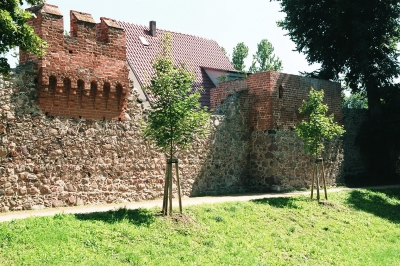 Stadtmauer Beeskow 2