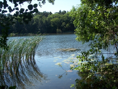 Rund um den Däbersee 3