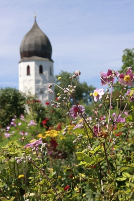 Blütenpracht auf der Fraueninsel