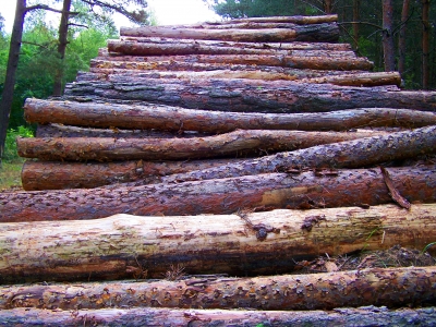 Holztreppe