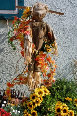 Erntedankschmuck im Ulmer Fischerviertel