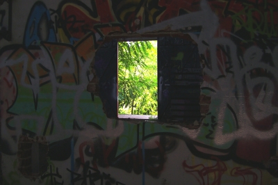 Tür im grünen Ruinen Altag