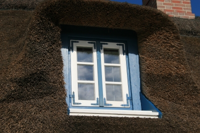 Blaues Fenster