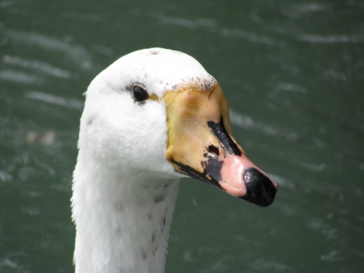 Was guckst du?