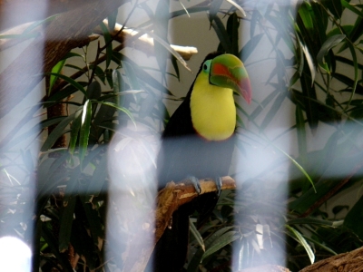 hinter Gittern