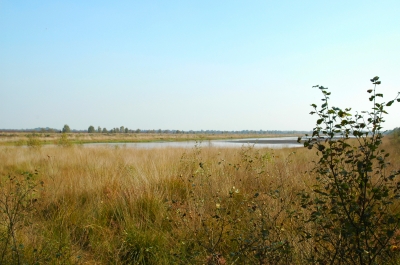 Moorlandschaft mit See