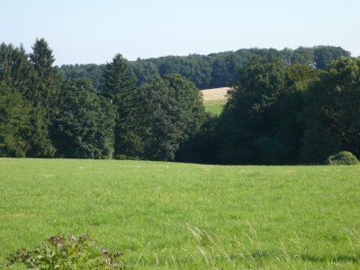 Ein Stück Sauerland