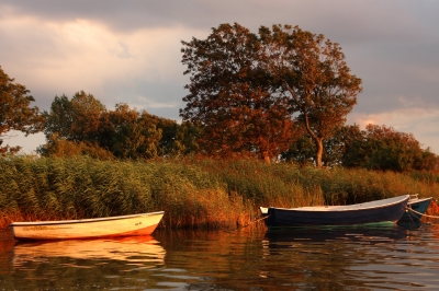 Boote am Ufer des Jasmunder Bodden