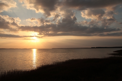 Jasmunder Bodden