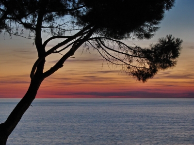 Abend in Rovinj/Kroatien