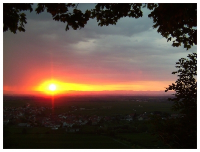 Sonnenaufgang über der Rheinebene