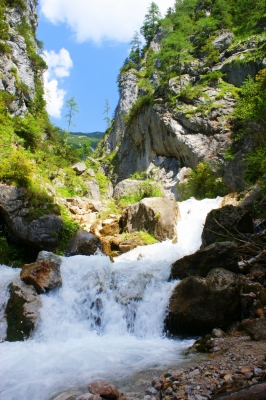 Silberkarklamm