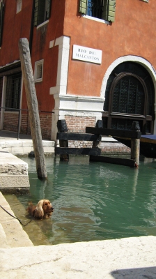 Gondelersatzverkehr in Venedig