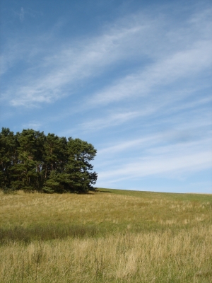 Sommer auf Rügen 2