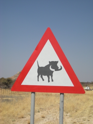 Vorsicht Warzenschwein