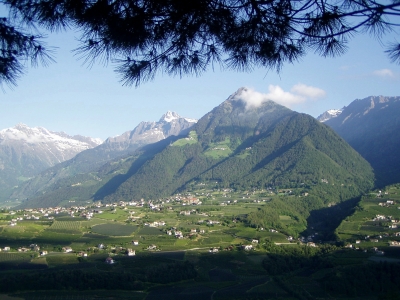 Blick auf Dorf Tirol