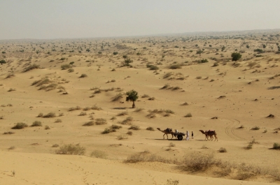 In der Wüste Thar nahe Pakistans...