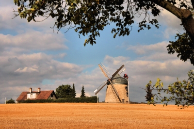 Die Tultewitzer Windmühle