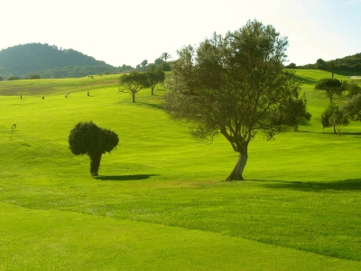 Gepflegte Golfanlage auf Mallorca