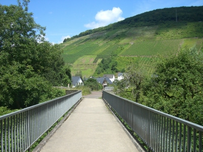 Brücke zu den Weinbergen