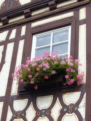 Rathausfenster