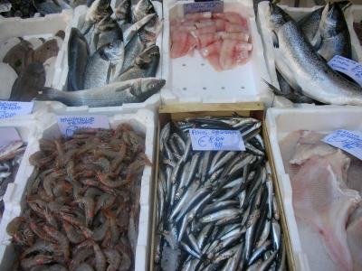 Frischer Fisch am Campo di Fiori